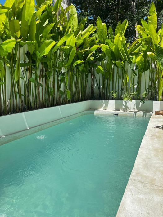 Villa Orchard - 2 Bedrooms In Bingin *